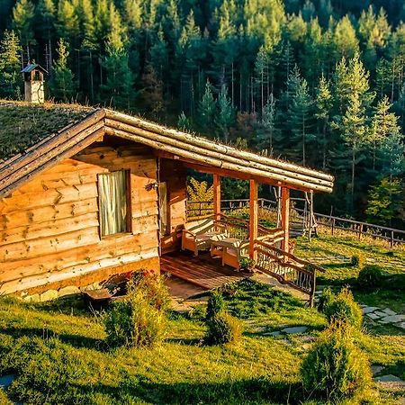 Панорама Хаус Лещен И Еко Къщи Дървена И Землянка المظهر الخارجي الصورة