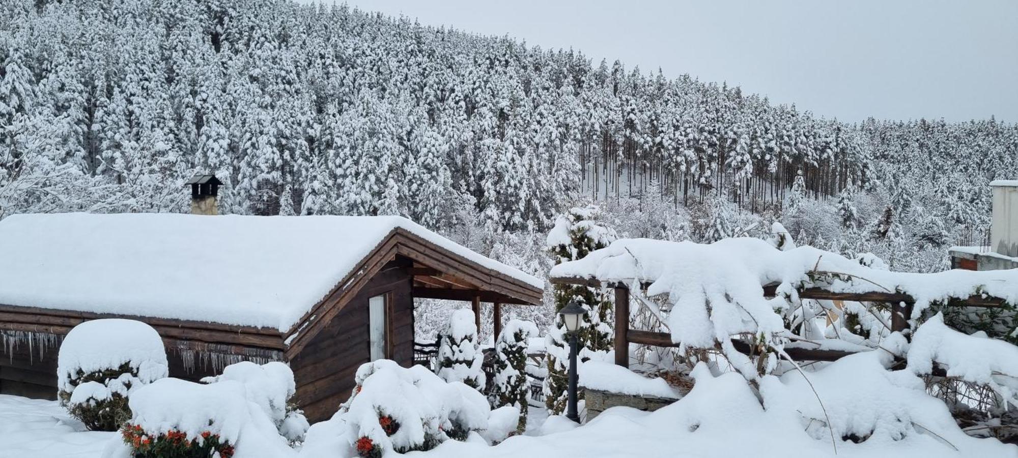 Панорама Хаус Лещен И Еко Къщи Дървена И Землянка المظهر الخارجي الصورة