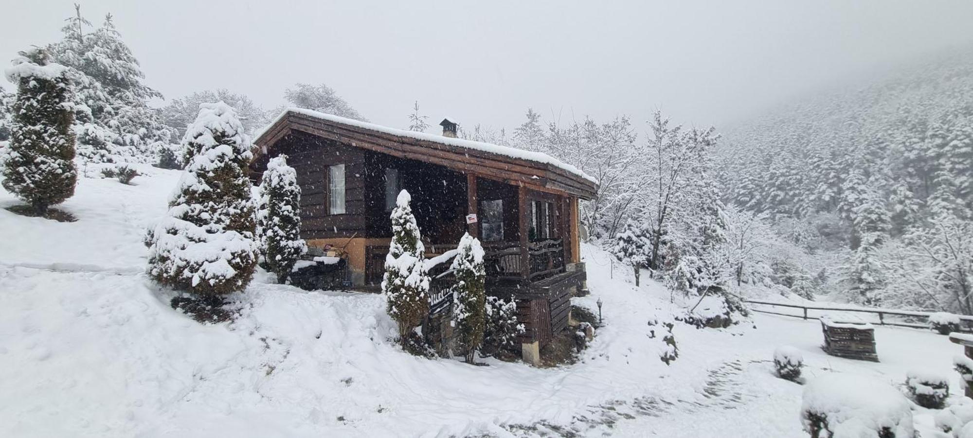 Панорама Хаус Лещен И Еко Къщи Дървена И Землянка المظهر الخارجي الصورة