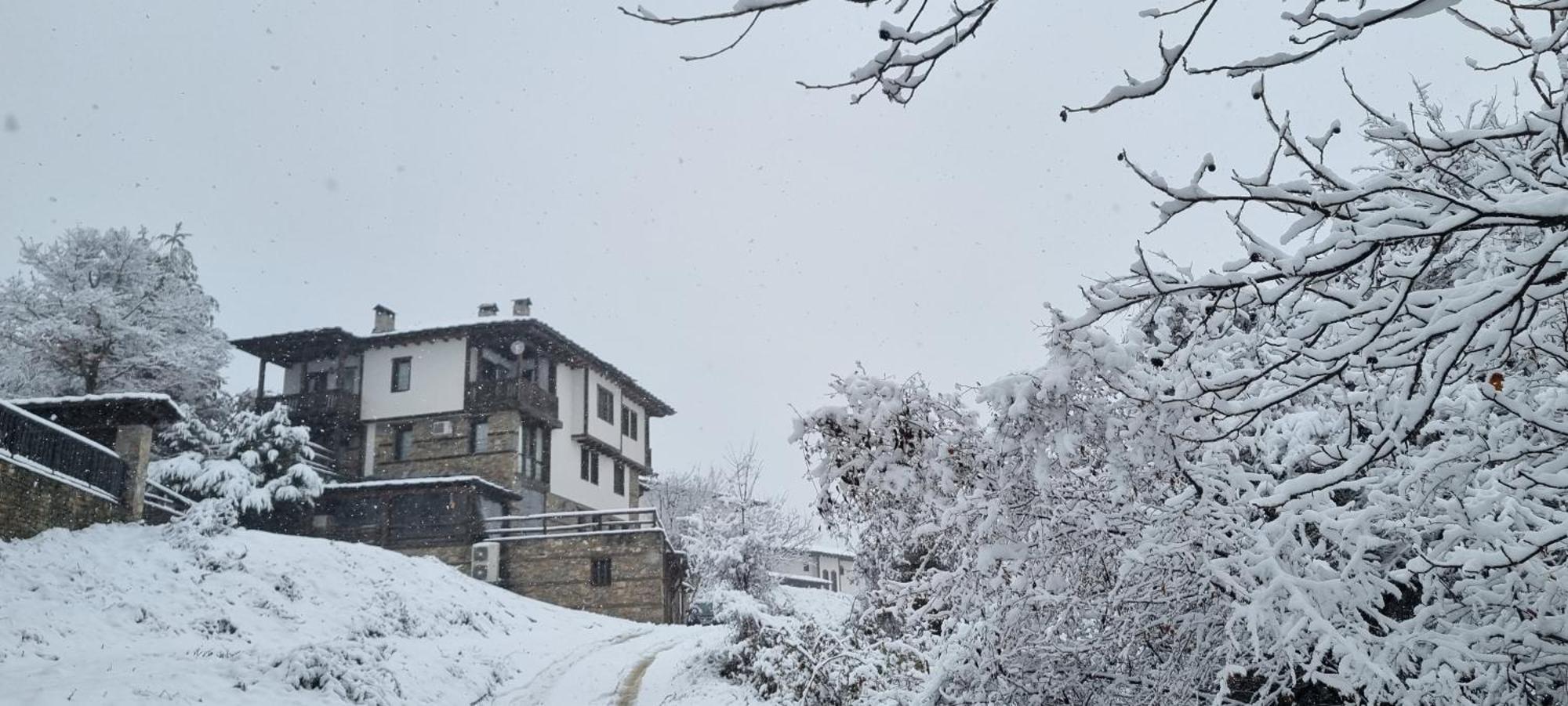 Панорама Хаус Лещен И Еко Къщи Дървена И Землянка المظهر الخارجي الصورة